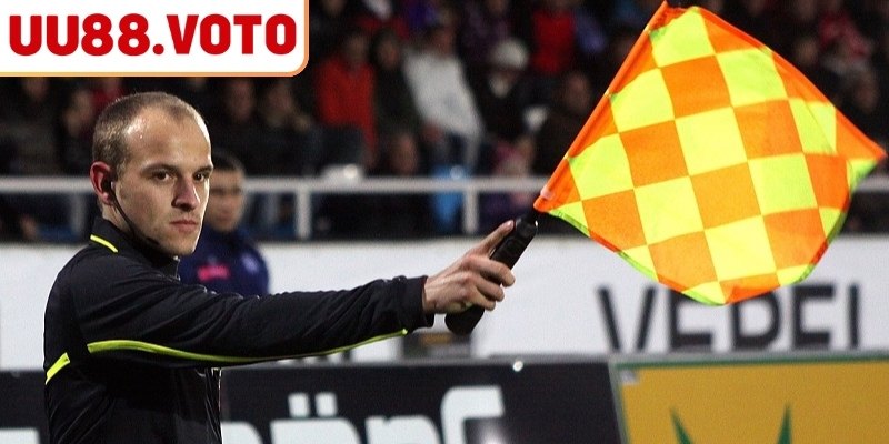 Độ hot của loại hình thú vị