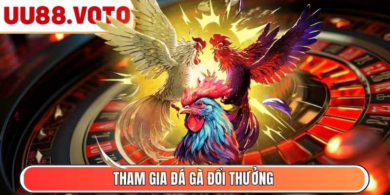 Tham gia Đá Gà đổi thưởng